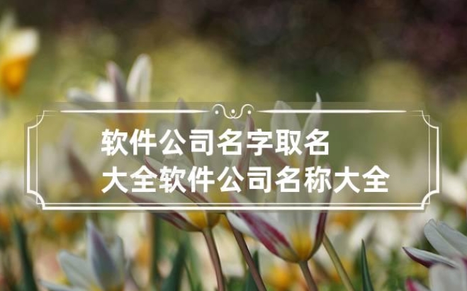 昆明软件公司名叫什么好听易记